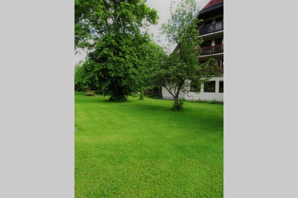 Modernes Apartment mit Traumhaftem Blick ins Grüne Bräunlingen Exterior foto